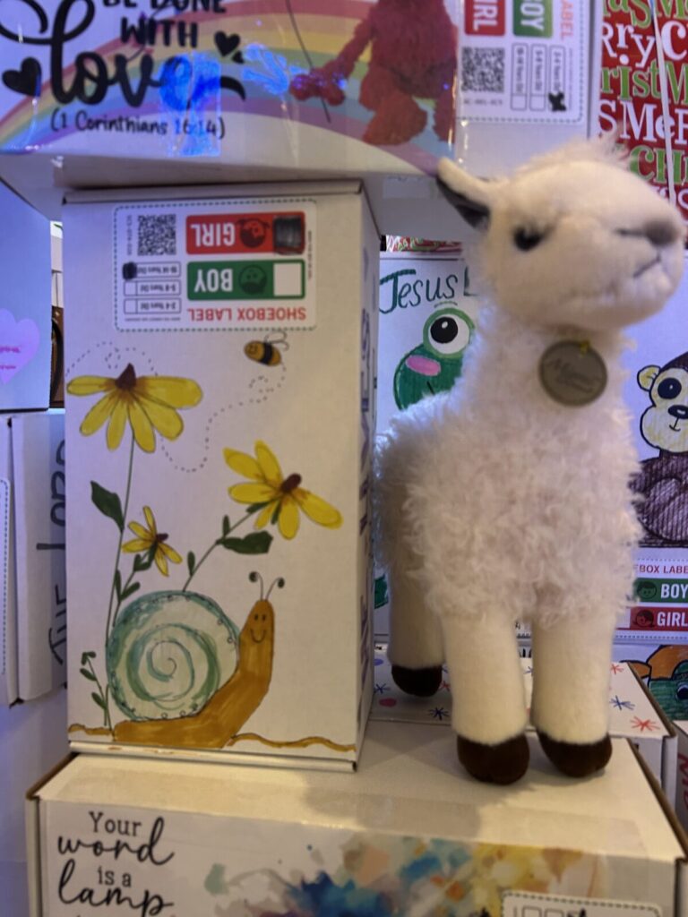Hand-decorated shoebox with flowers and a snail next to a plush lamb, ready for Operation Christmas Child